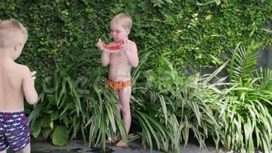 两个小男孩在度假时吃西瓜。 夏天男孩在院子里吃西瓜